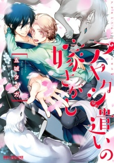 Ayakashitsukai no Yomesagashi Ayakashitsukai no Yomesagashi