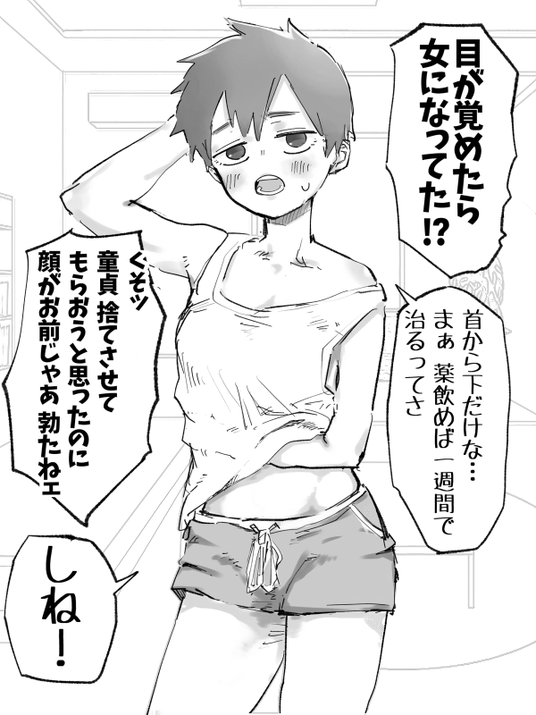 I'm Not Gay I'm Not Gay