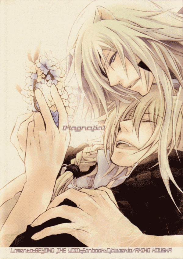 Lamento – Magnolia Lamento – Magnolia
