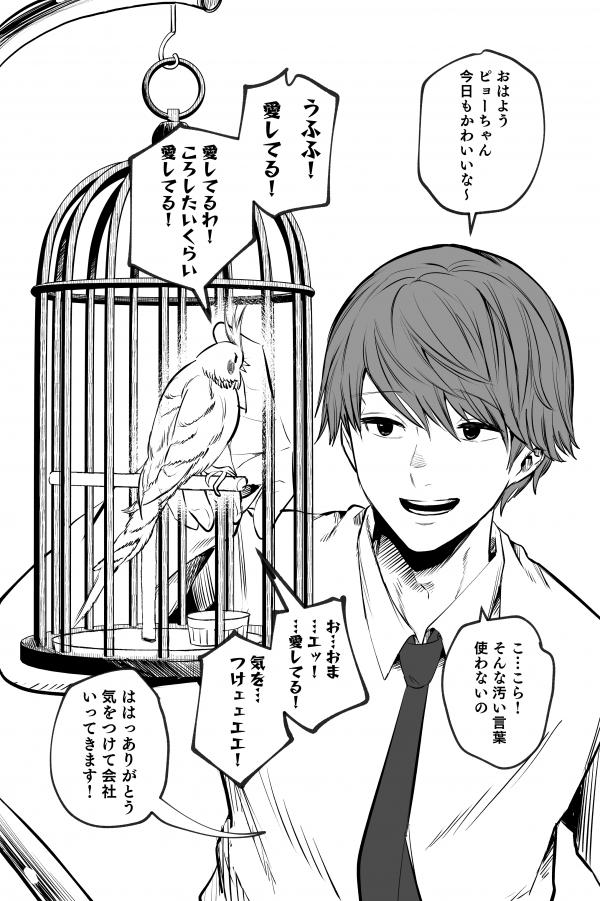 The Parakeet Wants to tell you The Parakeet Wants to tell you