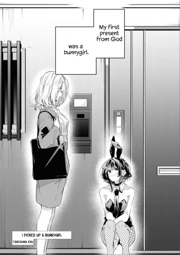 I Picked Up a Bunny Girl I Picked Up a Bunny Girl